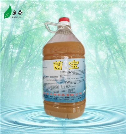 菌寶