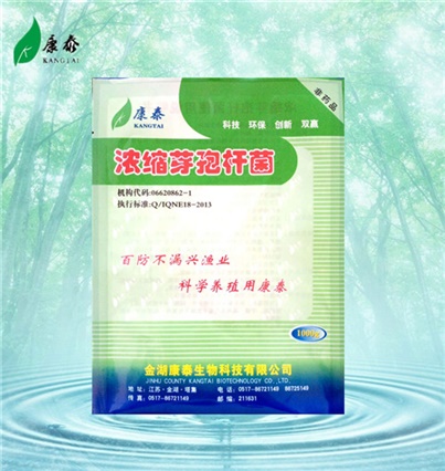 濃縮芽孢桿菌