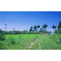 732個(gè)礦山完成生態(tài)修復(fù) 四川加強(qiáng)礦山綜合整治