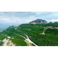 發(fā)放1億元貸款助力礦山生態(tài)修復(fù)