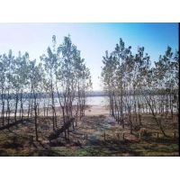 湖南發(fā)展砂石集散中心建設(shè)規(guī)劃成功獲批，助力機制砂順利投產(chǎn)