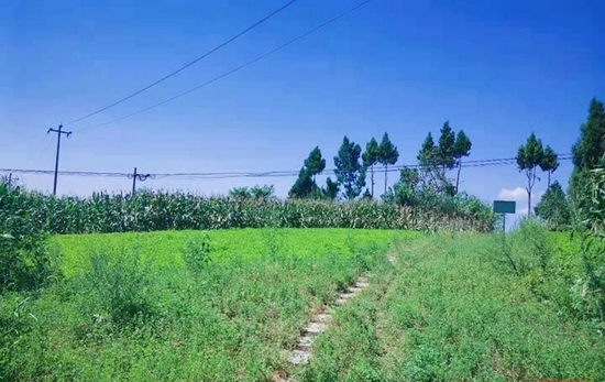 修復后的南津鎮(zhèn)槽土村陶家溝采石場 修復后的南津鎮(zhèn)槽土村陶家溝采石場